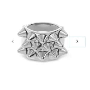 Silver ring från Edblad - Säljer denna silvriga ring från Edblad då jag ska byta till guld! 
