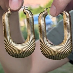 U-Shaped hoop örhängen - Aldrig använt  Material : ospecificerat, därför kategoriserat under 'Övrigt material  Postar inom 3 dager efter köpet