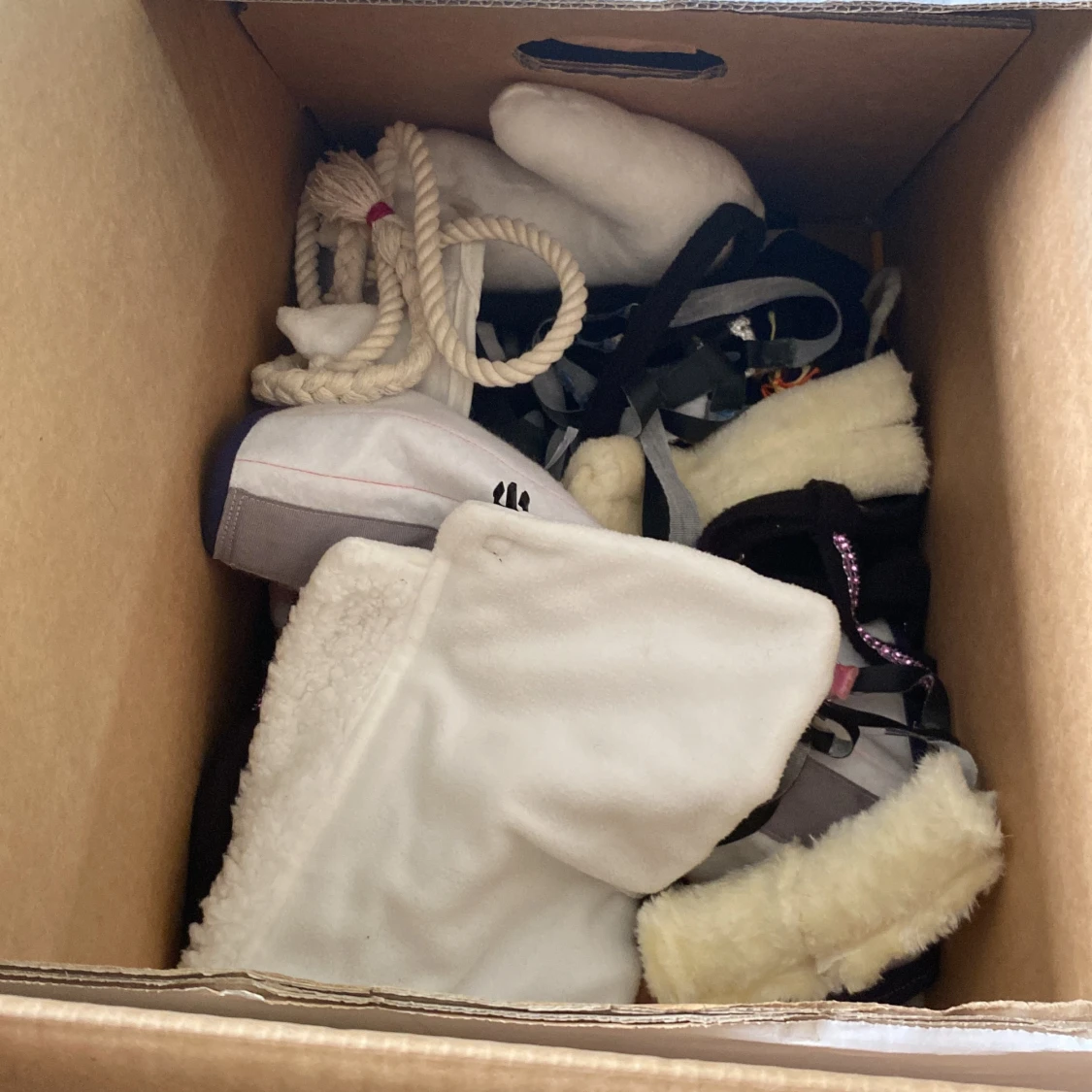 KÄPPHÄST UTRUSTNING 🎈🧡