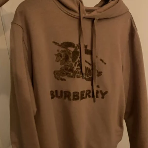 Burberry hoodie - Använd några gånger, fint skick, inga hål eller fläckar. Storlek M, passar L också, färgen är brun