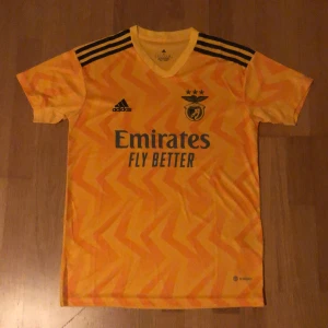 Benfica 22-23 Jersey - Säljer min Benfica tröja i helt ny skick, oanvänd. Säljer den på grund av att den inte passar mig. Storlek S, vill få bort den så snabbt som möjligt då jag säljer den för ett billigt pris.