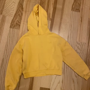 Hoodie strl 146/152 - Begagnat skick. Finns fläckar (se bild), som jag inte testat att ta bort med medel. Dom är inte jättesynliga. Men vet inte om dom går att få bort.  Katt finns i hemmet (allergivänlig ras).