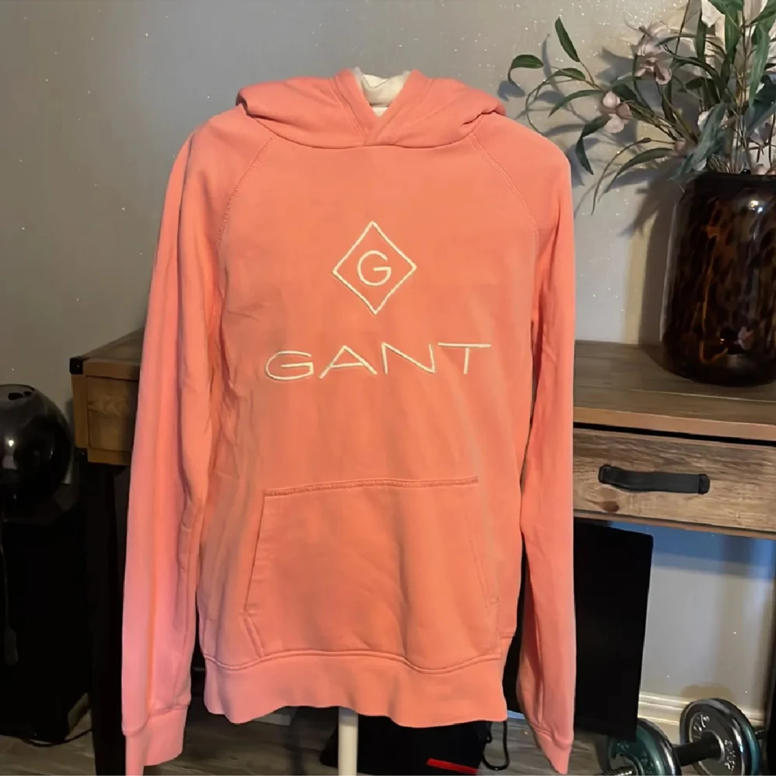 Gant hoddie