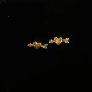 Dessa superfina hjärt/pil örhängen från L8Hasselblad i guld. Den mindre storleken, perfekta att ha i det övre hålet om man har fler hål i öronen. Knappt använda och vill man ha kan man få med ask och påse🩷🩷Nypris 200kr styck