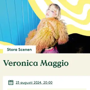 Söker 2st Veronica Maggio konsertbiljetter (Liseberg). Betalar extra, hör av er om ni säljer