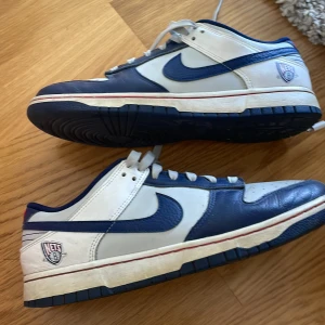 Nike  - Säljer mina Nike Dunk Low Retro Emb i storlek 43. Skorna är köpta på SNKRS appen och är i skicket 8/10 Box tillkommer vid köp