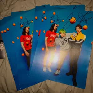 11 st Waterparks band hand signerad affisch poster merch - 150kr/styck. Alla 11 st är hand signerade av hela bandet. De är i bra skick och har inte sattigts upp. Jag fick tag på dom från en bekant som jobbade under en av deras konserter. Jag har några VIP badges också om det önskas.