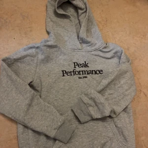 Grå hoodie från Peak Performance - Säljer en grå hoodie från Peak Performance med svart text på bröstet. Den har en klassisk design med huva och långa ärmar. Perfekt för en avslappnad stil.