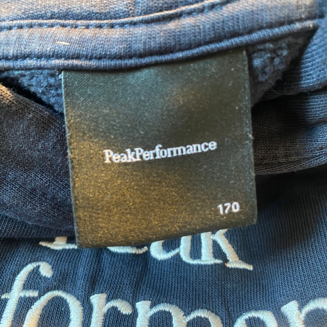 Peak Performance Hoodie - 1