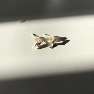 Örhängen - Silvriga blixt-örhängen med ”kristaller” på. Från Glitter. Använda ett antal gånger.
