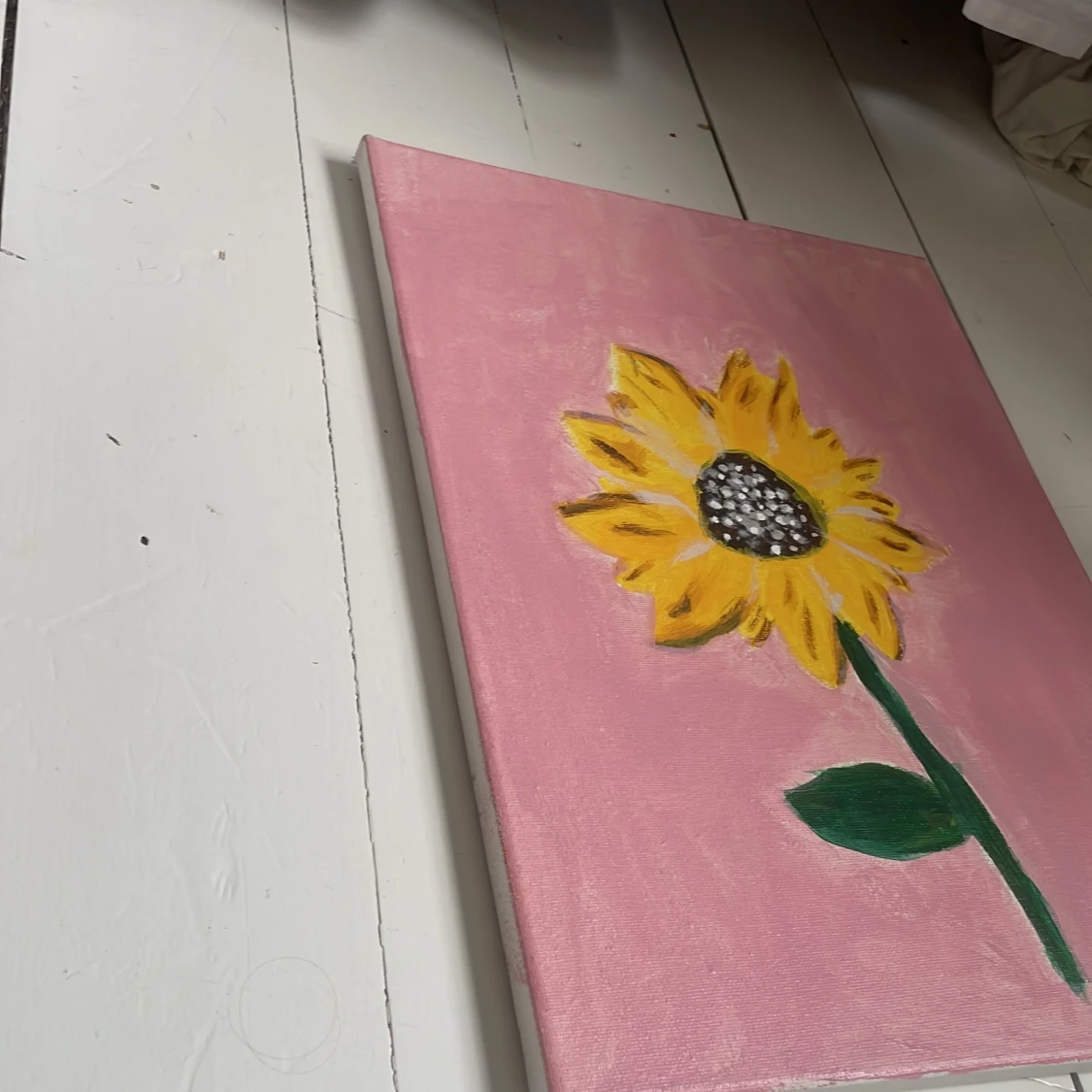 Solros på rosa bakgrund - 2