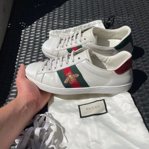 Gucci ace skor  - Säljer nu dessa snygga Gucci ace skor i storlek uk 7 som passar 41 ungefär, dustbag och extra snören ingår, skriv för fler bilder/frågor🙌🏼