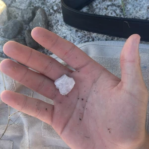 Fin Sten från Victoriasjön  - En väldigt fin och aningen sällsynt sten från Victoriasjön (som är döpt efter att kronprinsessan Victoria gjorde magplask i vattnet) fint skick kom priv för mer info 