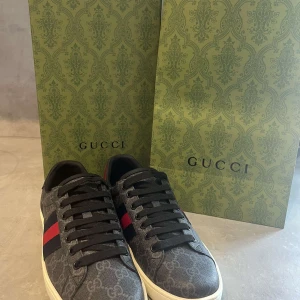 Gucci ace - Säljer nu dessa riktigt feta Gucci ace. Skick 10/10 aldrig använda. Bara att skriva vid frågor eller funderingar. Pris går att diskutera.