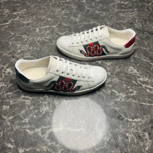 Gucci ace snake - Säljer ett par otroligt snygga skor från det exklusiva italienska märket Gucci! Skorna är i bra skick, skulle säga ungefär 8/10. Nypris ligger på över 9000kronor men vi säljer våra för endast 2299 och kan gå ner i pris ännu mer vid snabb affär! Skorna är i storlek 39 men passar även 40.  Skriv gärna ifall det är några funderingar, allt bästa SkoKapet