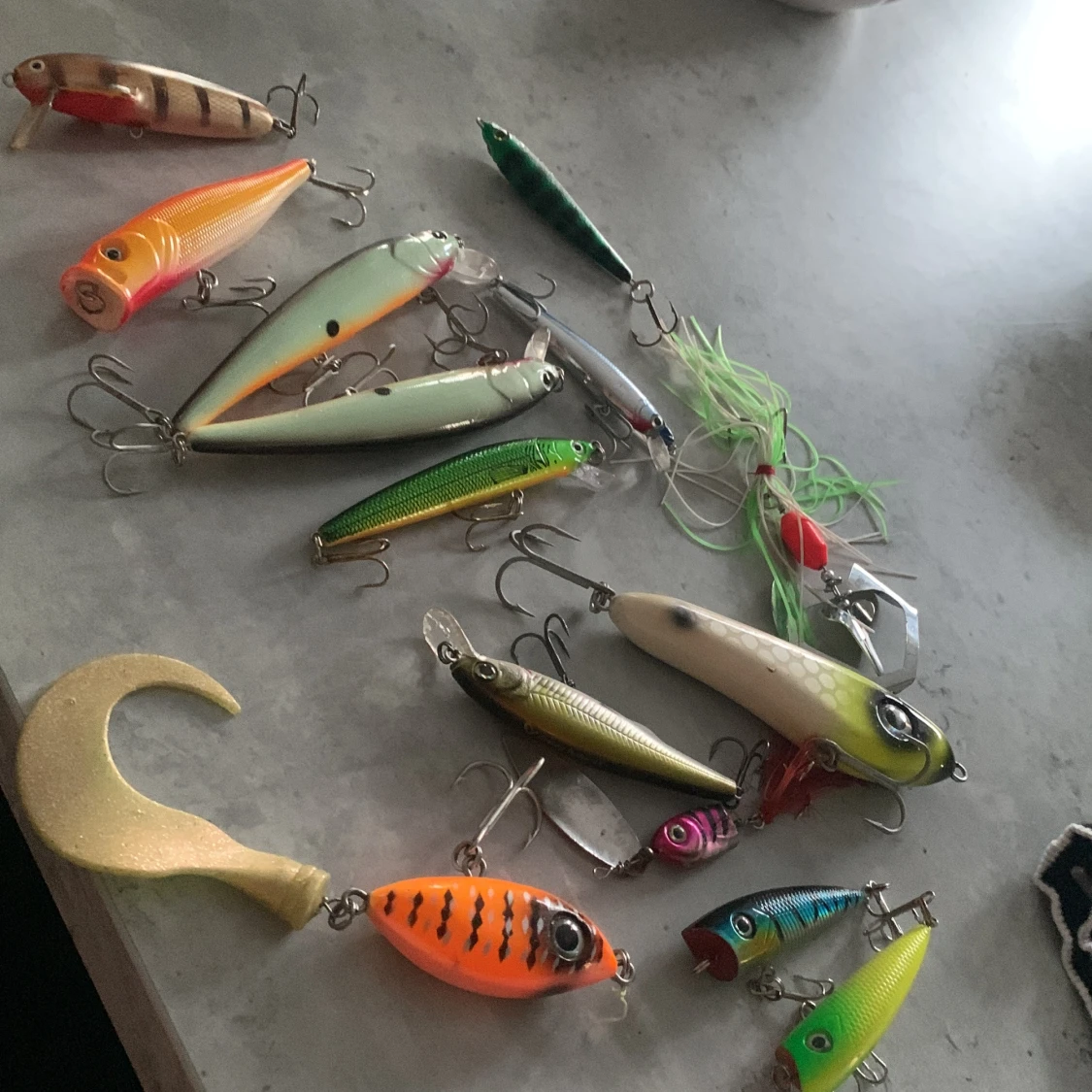 Transparent plastask för beten - 4