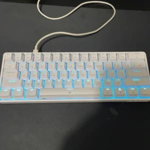 dk61se - mekaniskt tangentbord av modellen DIERYA DK61SE med blå bakgrundsbelysning. Tangentbordet är kompakt och har en modern design, perfekt för gaming eller studier. Passar dig som vill ha en snygg och funktionell setup. köptes för 300 säljs för 200 perfekt för dig som vill ha en bra tangentbord för att spela dens reaktionstid ligger på jätte lågt.