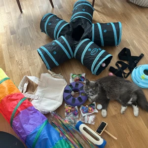 Katttillbehör  - Pamm!! Sele och tunnlar och en massa katt leksaker 