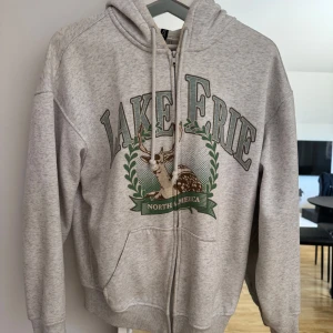 Grå hoodie med Lake Erie-tryck - Säljer en grå hoodie med dragkedja och tryck på framsidan. Perfekt för en avslappnad stil!