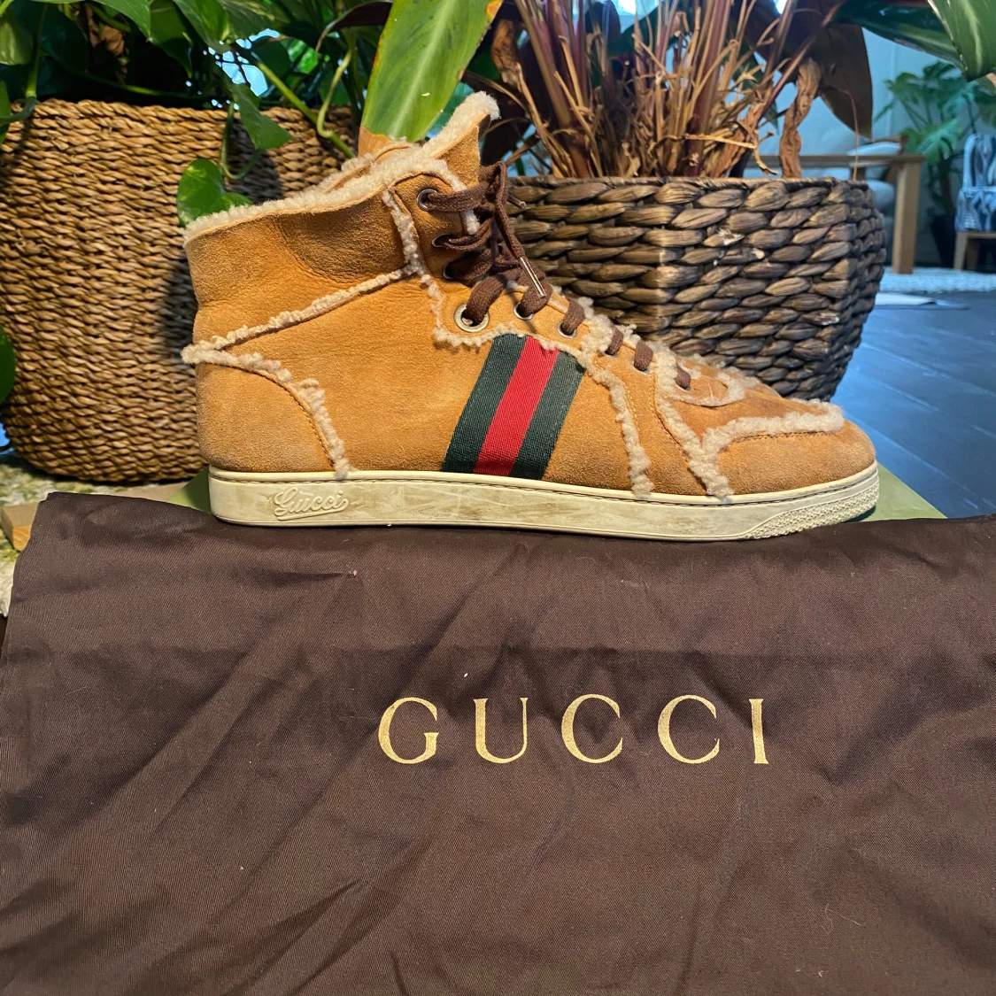 Gucci Hi-Top Teddy Sneakers Brown - 2