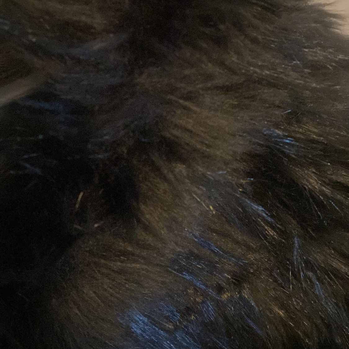 Svart fuskpälsjacka från Crocker - 2