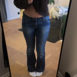 Lågmidjade Lee Jeans - Snygga Lee jeans, modell: dosoto, storlek: w30, l33! Jag på bilden är 170🫶🏼