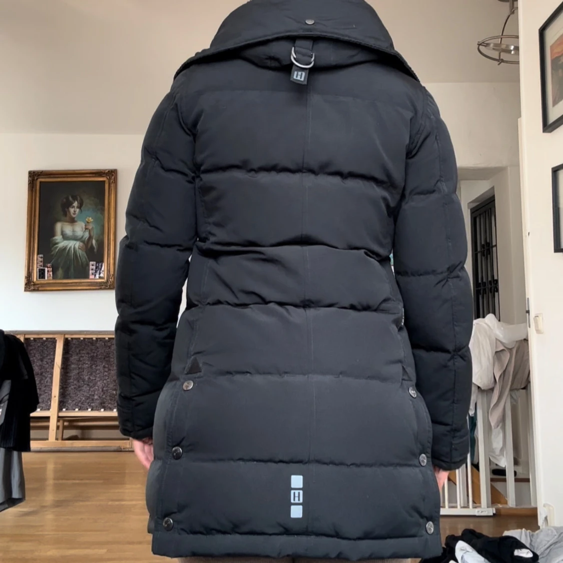 Hollies midnight blue  - 1