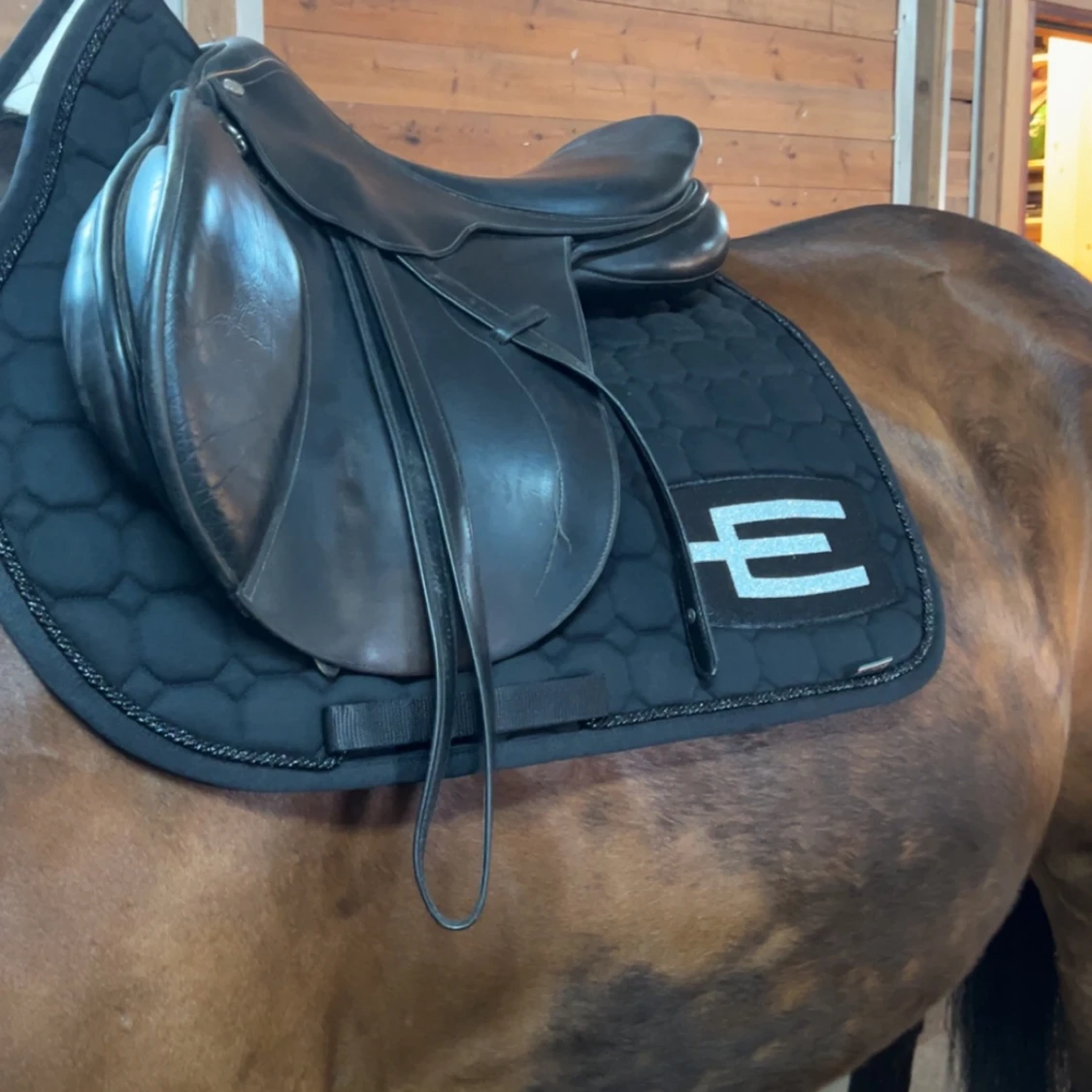Equiline E-logg schabrak Stl full