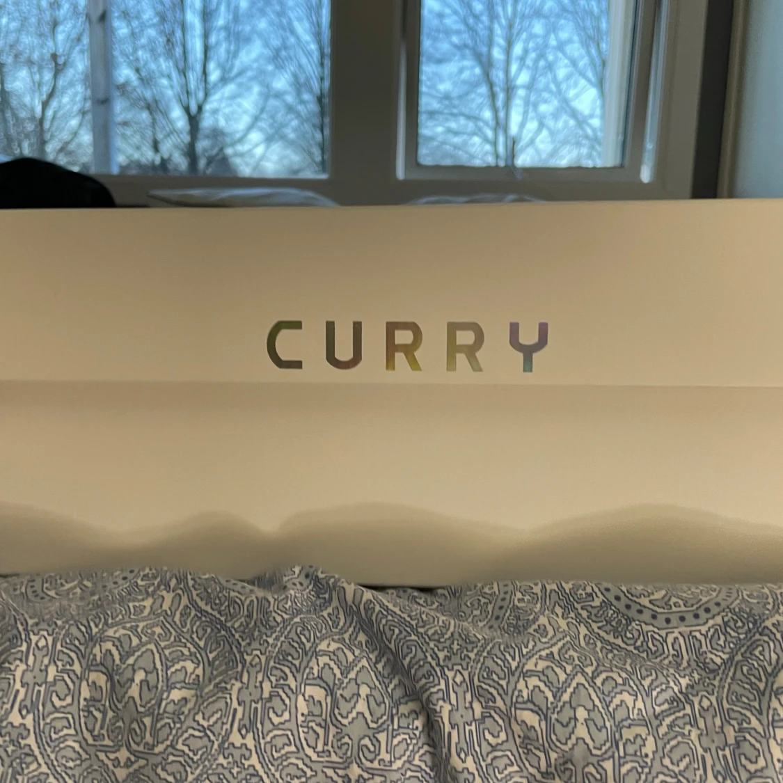 Curry 8 - 2