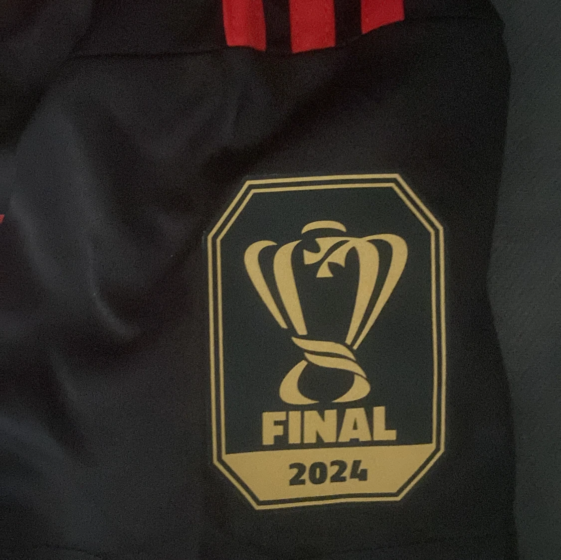 Flamengo Copa do Brasil 2024 Jorginho #21 - 3