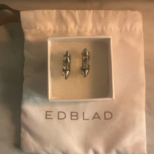 Silvriga örhängen från Edblad - Snygga silvriga örhängen från Edblad