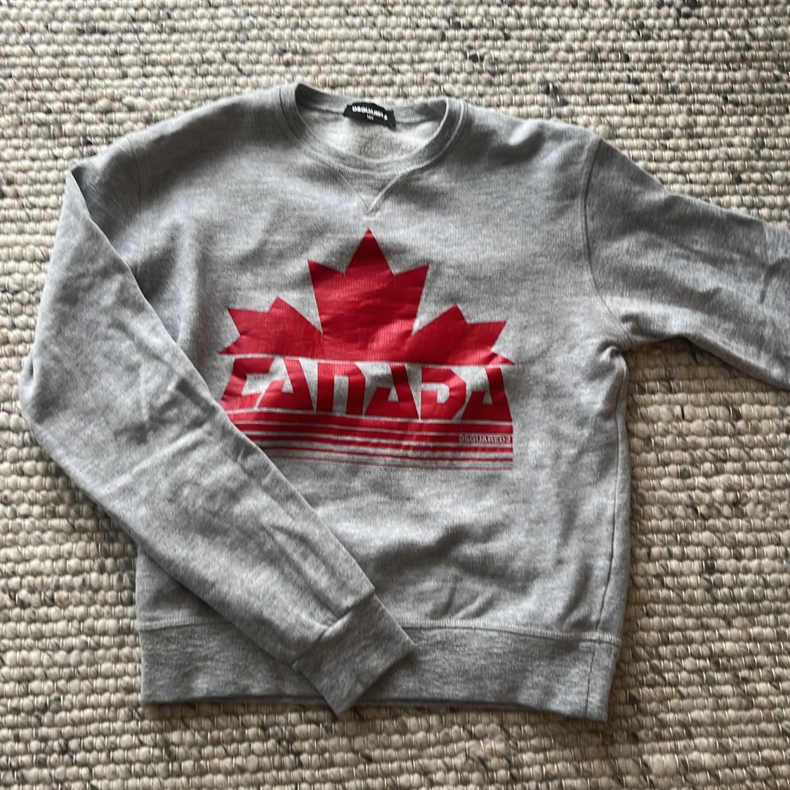 Grå sweatshirt från Dsquared2