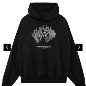 Antwan Hoodie  - Säljer denna limiterade  ANT WAN Hoodien.  Köptes när den släpptes nyligen. Endast uppackad. Inte använd eller testad  Storlek M  1000kr eller bud. 