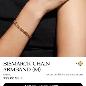 Bismarck armband från Safira  - Nyskick, rostfritt stål, onesize onginalpris 800. Ser äkta ut 