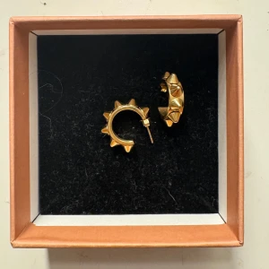 Edblad örhängen  - Säljer dessa örhängen. Använda fåtal gånger och inga effekter. Guld och nypris är 399kr och säljer för 199kr. Pris går och diskutera ❤️