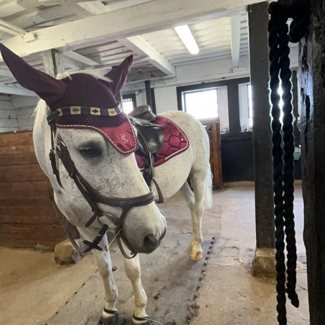 Vinrött hopp set från PS of Sweden