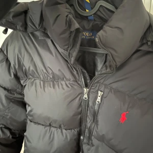 Svart dunjacka från Polo Ralph Lauren - Säljer en svart dunjacka från Polo Ralph Lauren med en klassisk design. Jackan har en dragkedja framtill och en huva för extra skydd mot väder och vind. Den ikoniska röda logotypen är broderad på bröstet. Perfekt för kalla dagar. Storleken är xl men passar M/L jag är 183 och passar mig perfekt, säljer då jag vill köpa en annan jacka. Nypris kostar jackan 3000 ish.
