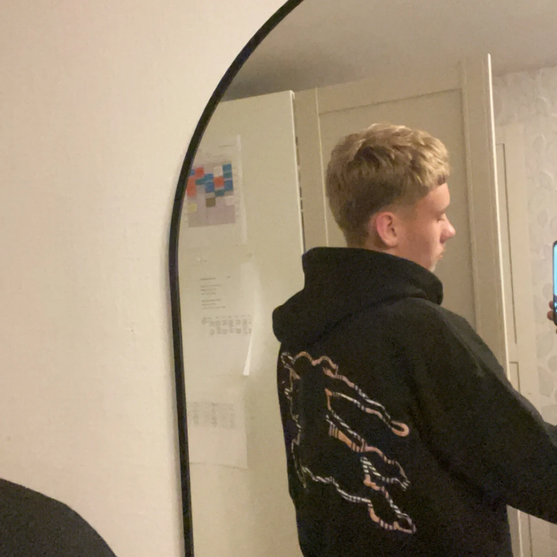 Burberry hoddie  - 92