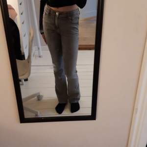 Säljer dessa superfina grå low waist flare jeans då de blivit smått försmå för mig. De är i toppenskick bortsett från att de är lite nött längst ner ( Bild nr 5) men det är ingenting man tänker på. Hör av dig vid frågor eller funderingar!💕