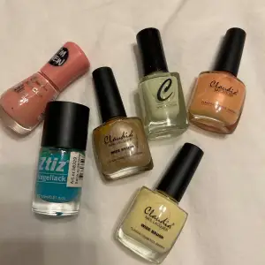 Säljer ett set med sex nagellack i olika färger. Inkluderar nyanser av rosa, grönt, guld, beige och persika. Märken som Claudia och Ztiz. Perfekt för att mixa och matcha till olika outfits och tillfällen. Alla flaskor är i bra skick och redo att användas för en snygg manikyr. Visa har inte ens öppnats.