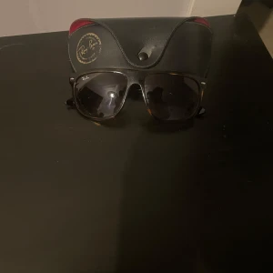 Rayban boyfriend leopard - Rayban boyfriend i leopard modell Fint skick