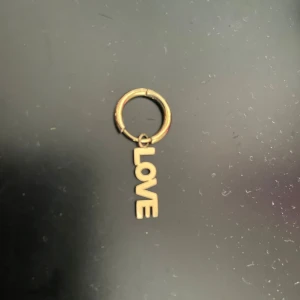 Ett Edblad örhänge  - Tappat bort de andra och om någon annan har de kan ni köpa den här så har ni 2!!🥰🥰