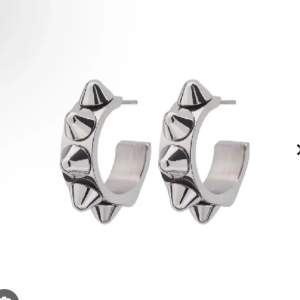 Säljer dessa nitörhängen från Edblad i silver för 120kr paret. Fint skick och ask medföljer!❤️