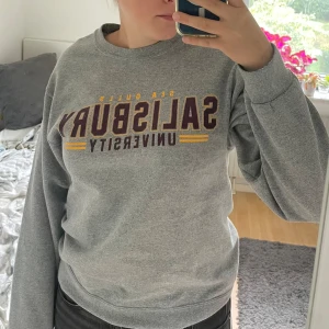 Grå sweatshirt från Jerzees - Säljer en grå sweatshirt från Jerzees med trycket 'Salisbury University' i vinrött och gult. Tröjan är i storlek S och är gjord av en mjuk blandning av bomull och polyester.