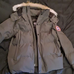 Grå dunjacka från Canada Goose - Säljer en grå dunjacka från Canada Goose med pälskantad huva och dragkedja. Jackan har långa ärmar och en broderad logotyp på ärmen. Perfekt för kalla vinterdagar.
