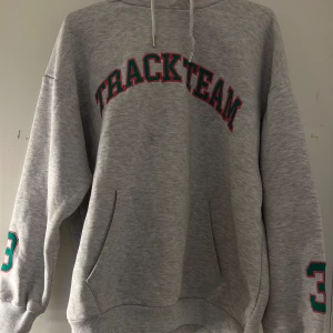 Grå hoodie med tryck - Säljer en grå hoodie med texten 'TRACKTEAM' i rosa och grönt på framsidan. Tröjan har en stor ficka framtill och en justerbar huva med snören. 