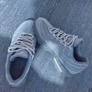 Grå Nike sneakers - Snygga gråa Nike skor och är air max 95a storlekt 41 lite smutsigt men går och ta bort,inga skador och dem är inte creezad