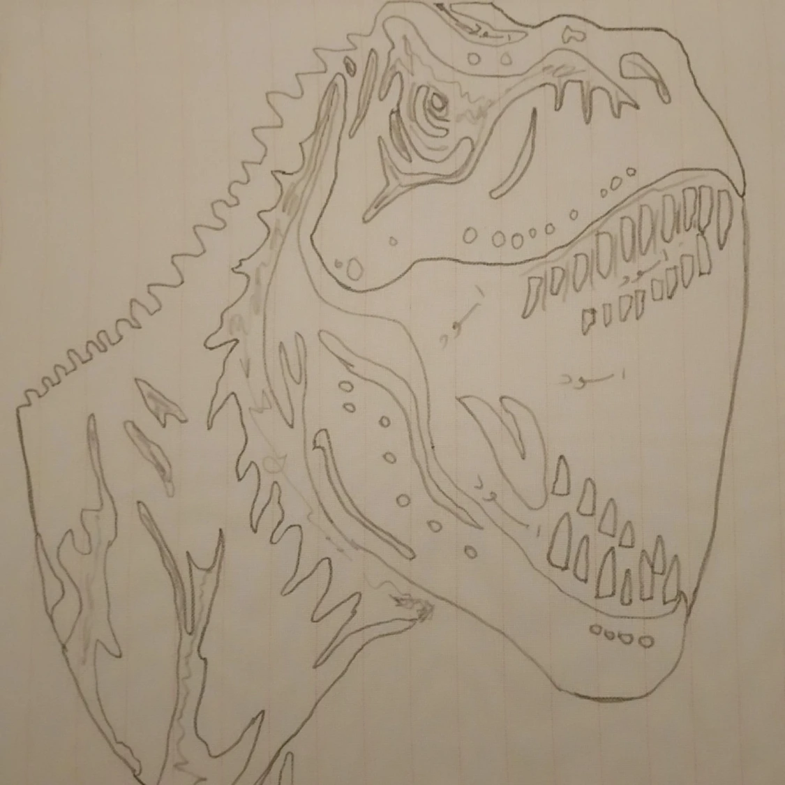 Svartvit matta med dinosauriemotiv - 90