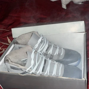 Jordan 11 cool Gray, 43 - Jag säljer mina helt nya Jordan 11. Köpte fel storlek så vill sälja dom så snabbt så möjligt och spara till ett nytt par. 