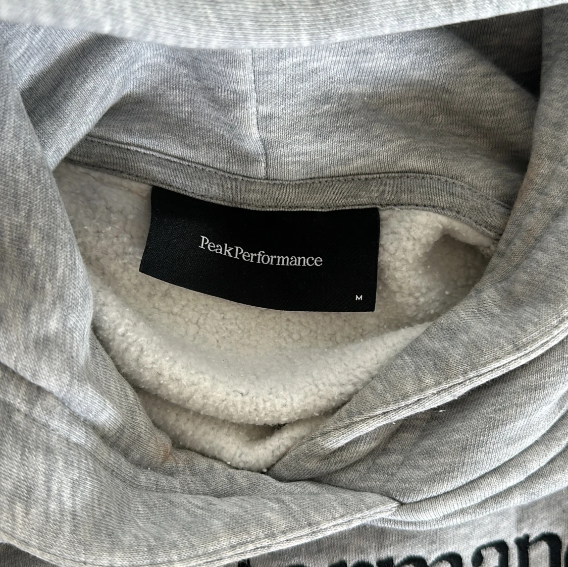 Peak Performance Hoodie - 91